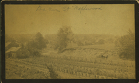 Photo only available in the library